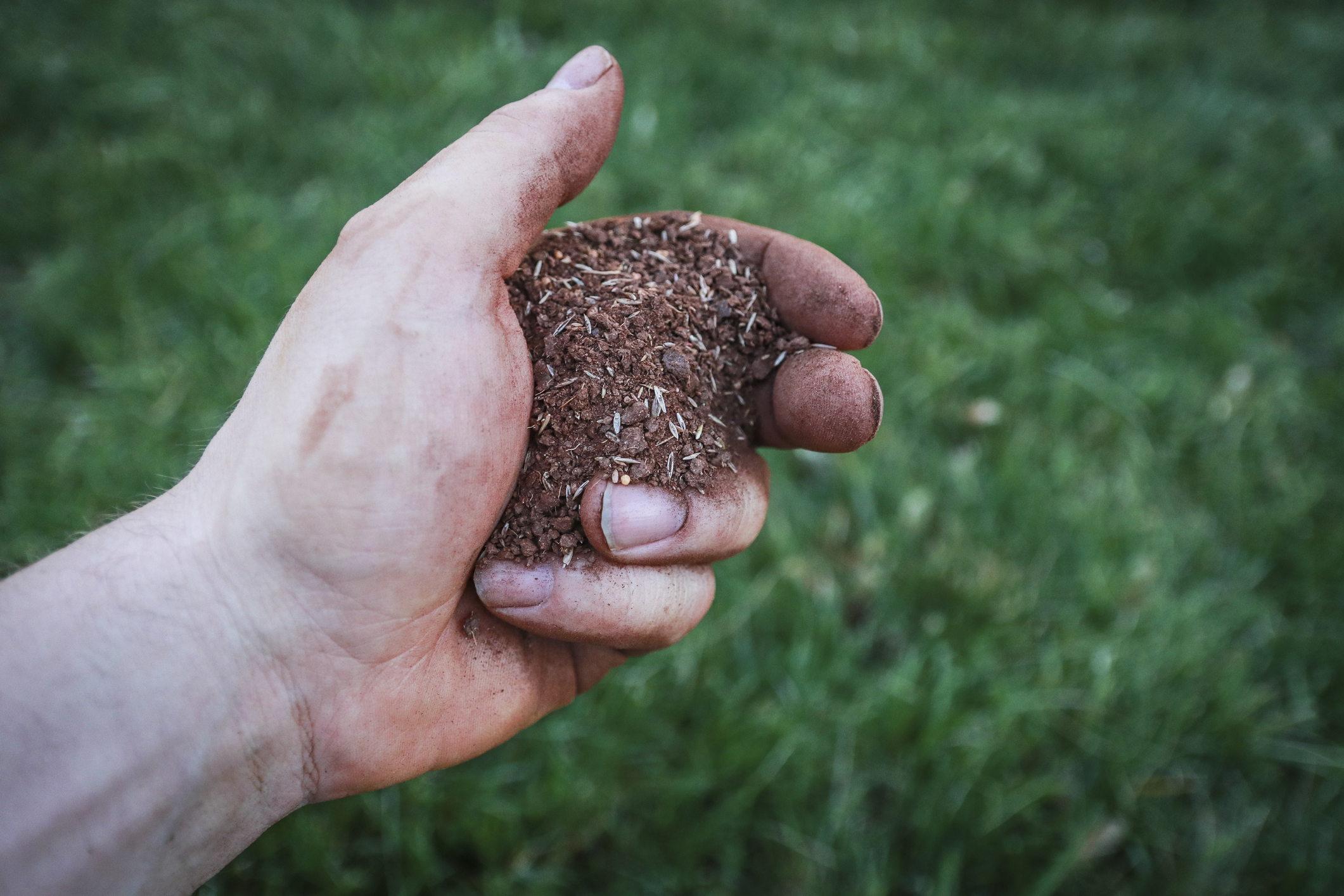 Blain's Farm & Fleet Lawn and Leaf Bags