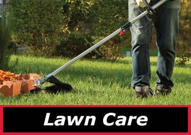 Farm & fleet online lawn mowers