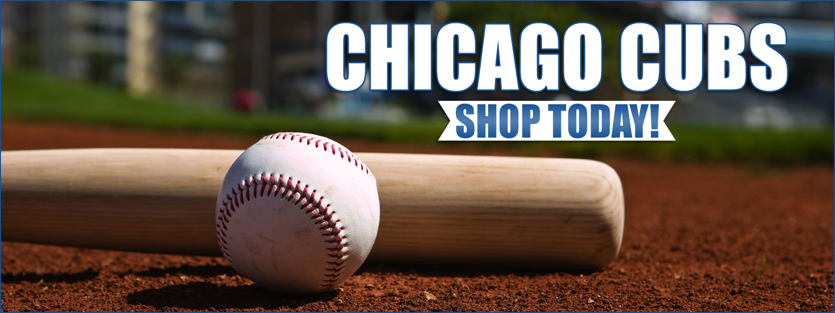 Chicago Cubs Items at Blain's Farm & Fleet